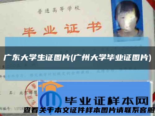 广东大学生证图片(广州大学毕业证图片)缩略图