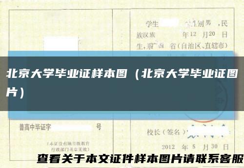 北京大学毕业证样本图（北京大学毕业证图片）缩略图