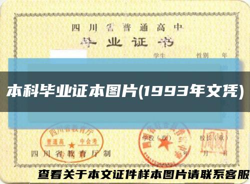 本科毕业证本图片(1993年文凭)缩略图