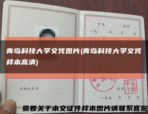 青岛科技大学文凭图片(青岛科技大学文凭样本高清)缩略图