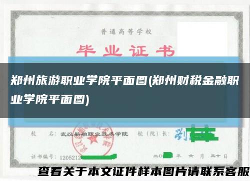 郑州旅游职业学院平面图(郑州财税金融职业学院平面图)缩略图