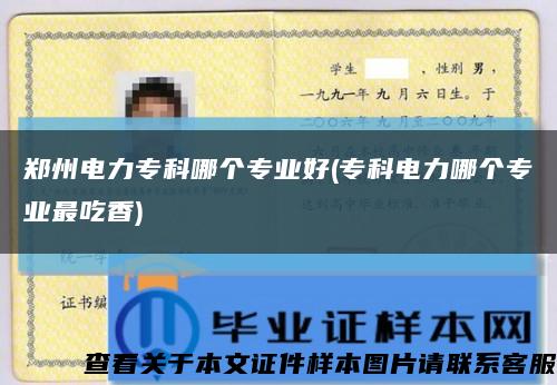 郑州电力专科哪个专业好(专科电力哪个专业最吃香)缩略图