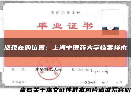 您现在的位置：上海中医药大学档案样本缩略图