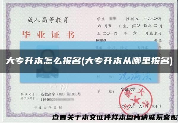 大专升本怎么报名(大专升本从哪里报名)缩略图