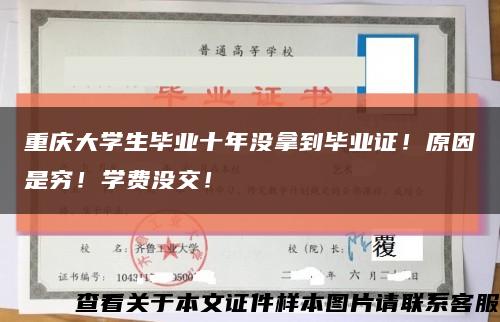 重庆大学生毕业十年没拿到毕业证！原因是穷！学费没交！缩略图