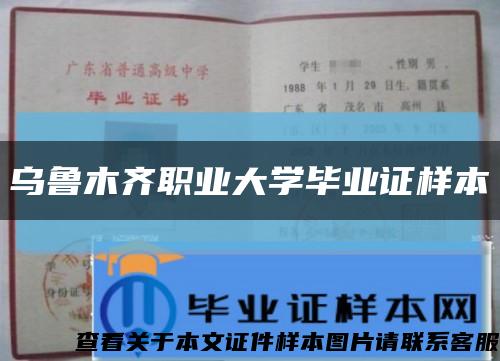 乌鲁木齐职业大学毕业证样本缩略图