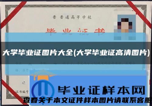 大学毕业证图片大全(大学毕业证高清图片)缩略图