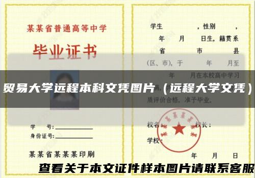贸易大学远程本科文凭图片（远程大学文凭）缩略图