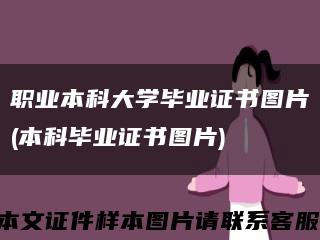 职业本科大学毕业证书图片(本科毕业证书图片)缩略图