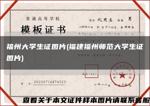 福州大学生证图片(福建福州师范大学生证图片)缩略图