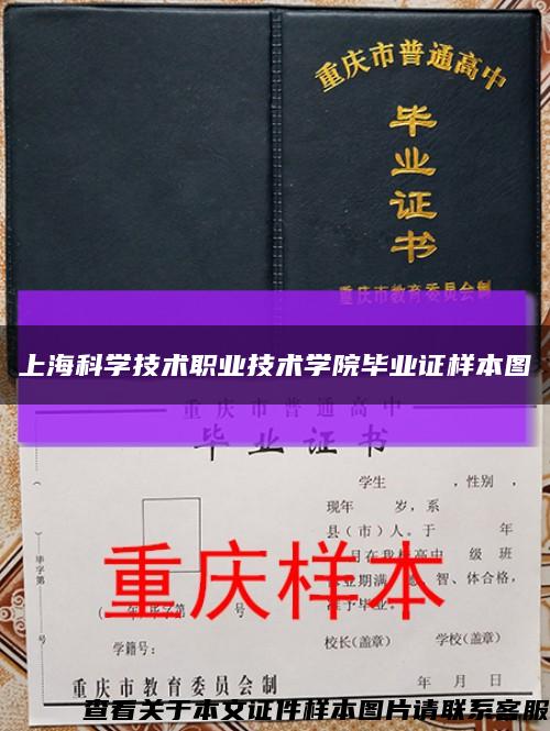 上海科学技术职业技术学院毕业证样本图缩略图