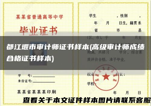 都江堰市审计师证书样本(高级审计师成绩合格证书样本)缩略图