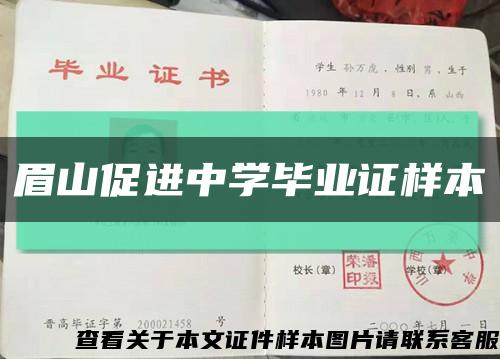 眉山促进中学毕业证样本缩略图