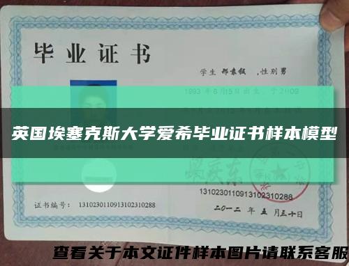 英国埃塞克斯大学爱希毕业证书样本模型缩略图