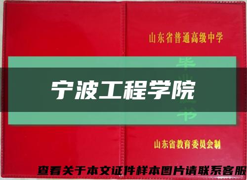 宁波工程学院缩略图