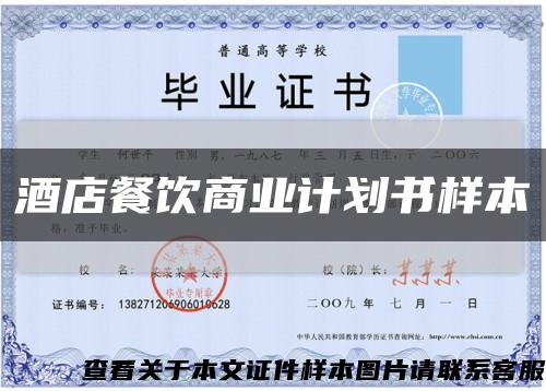 酒店餐饮商业计划书样本缩略图