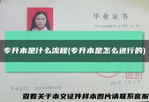 专升本是什么流程(专升本是怎么进行的)缩略图