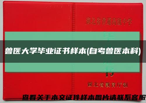兽医大学毕业证书样本(自考兽医本科)缩略图