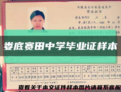 娄底赛田中学毕业证样本缩略图