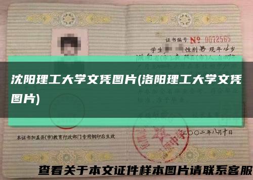 沈阳理工大学文凭图片(洛阳理工大学文凭图片)缩略图
