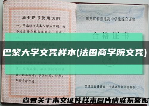 巴黎大学文凭样本(法国商学院文凭)缩略图