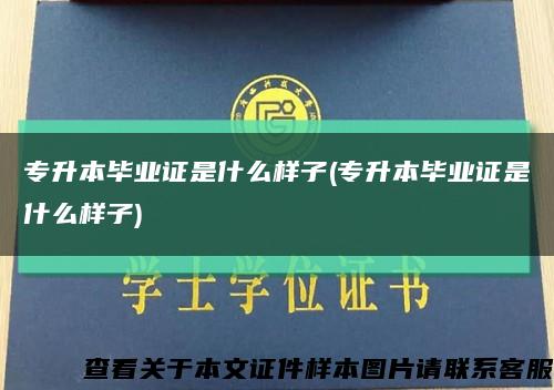专升本毕业证是什么样子(专升本毕业证是什么样子)缩略图