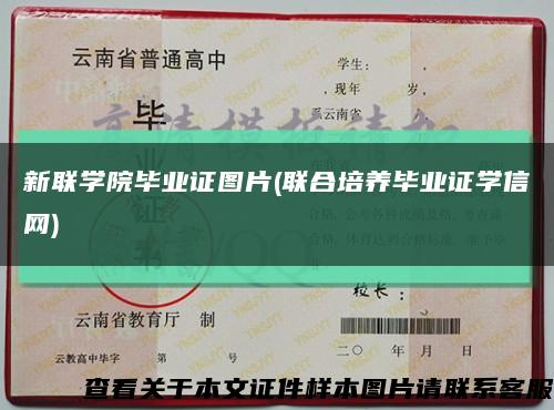 新联学院毕业证图片(联合培养毕业证学信网)缩略图