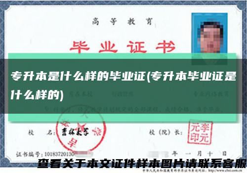 专升本是什么样的毕业证(专升本毕业证是什么样的)缩略图