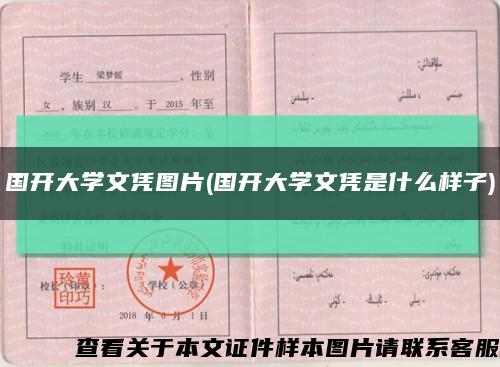 国开大学文凭图片(国开大学文凭是什么样子)缩略图