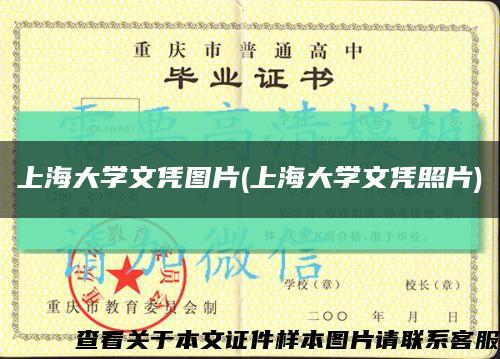上海大学文凭图片(上海大学文凭照片)缩略图
