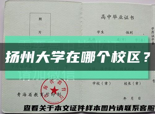 扬州大学在哪个校区？缩略图