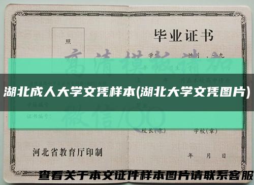 湖北成人大学文凭样本(湖北大学文凭图片)缩略图