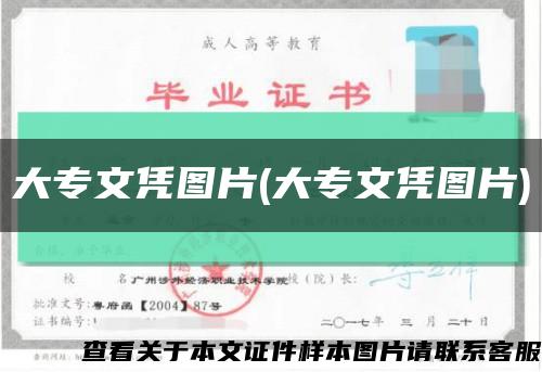 大专文凭图片(大专文凭图片)缩略图