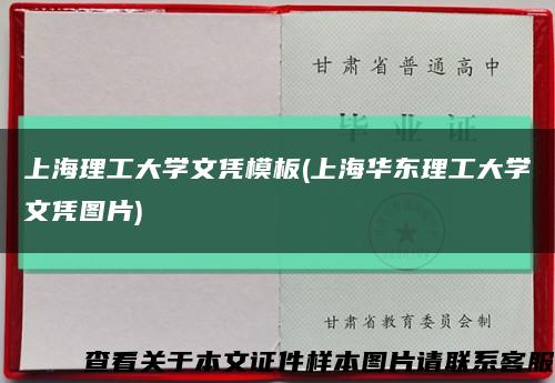 上海理工大学文凭模板(上海华东理工大学文凭图片)缩略图