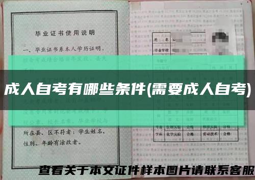 成人自考有哪些条件(需要成人自考)缩略图