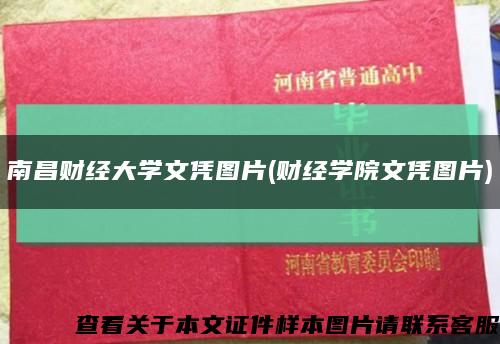 南昌财经大学文凭图片(财经学院文凭图片)缩略图