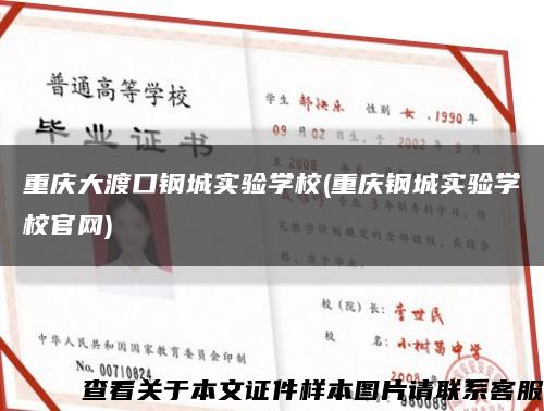 重庆大渡口钢城实验学校(重庆钢城实验学校官网)缩略图