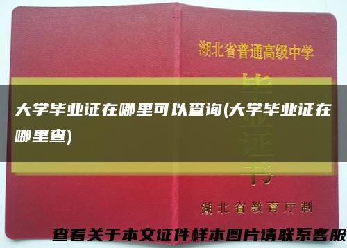 大学毕业证在哪里可以查询(大学毕业证在哪里查)缩略图