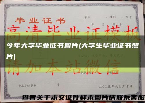 今年大学毕业证书图片(大学生毕业证书照片)缩略图