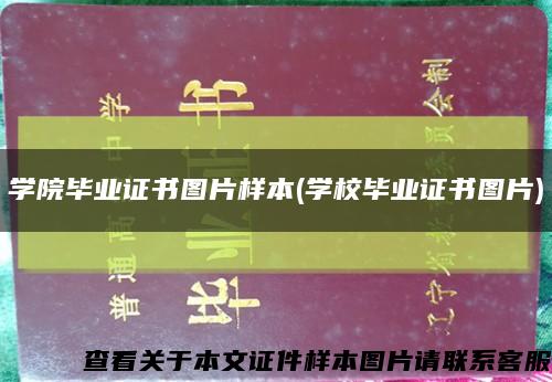 学院毕业证书图片样本(学校毕业证书图片)缩略图