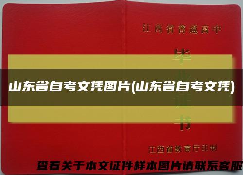 山东省自考文凭图片(山东省自考文凭)缩略图