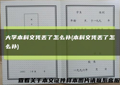 大学本科文凭丢了怎么补(本科文凭丢了怎么补)缩略图