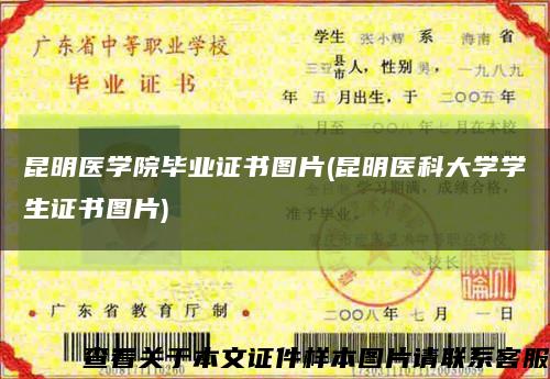 昆明医学院毕业证书图片(昆明医科大学学生证书图片)缩略图
