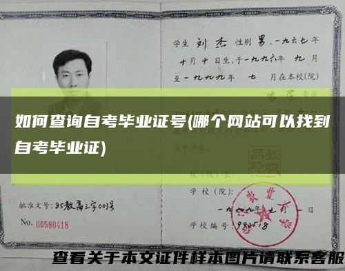 如何查询自考毕业证号(哪个网站可以找到自考毕业证)缩略图