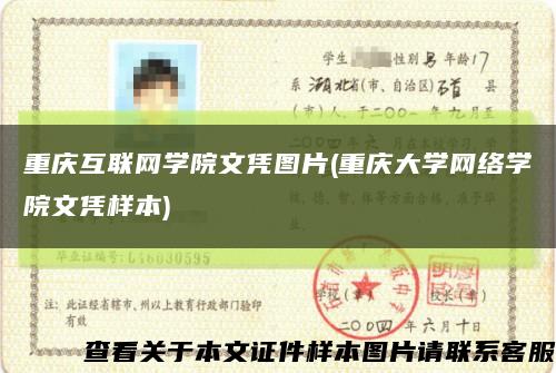 重庆互联网学院文凭图片(重庆大学网络学院文凭样本)缩略图