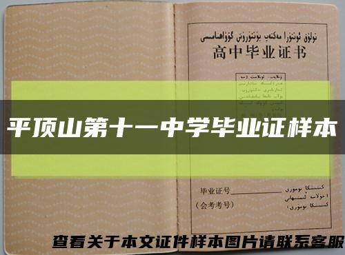平顶山第十一中学毕业证样本缩略图