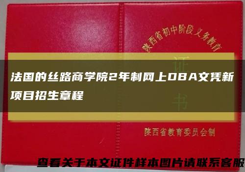 法国的丝路商学院2年制网上DBA文凭新项目招生章程缩略图