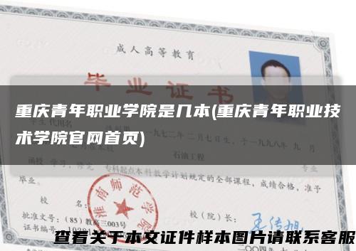 重庆青年职业学院是几本(重庆青年职业技术学院官网首页)缩略图