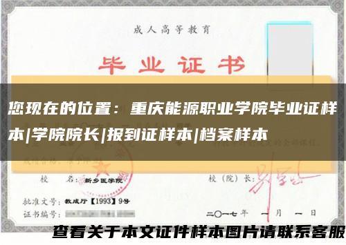 您现在的位置：重庆能源职业学院毕业证样本|学院院长|报到证样本|档案样本缩略图