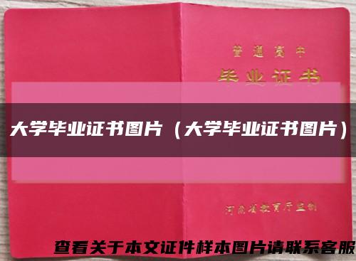 大学毕业证书图片（大学毕业证书图片）缩略图